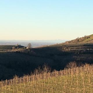 Agriturismo la Preara - Monteforte dʼAlpone - 6