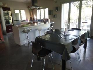 maison au bord de l'eau - LʼIsle-sur-la-Sorgue - 3