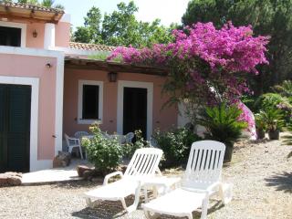 CASA DRACO - 9