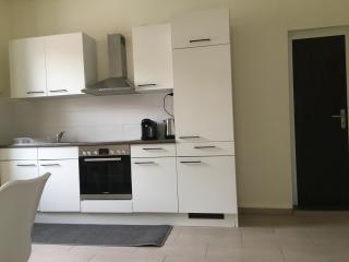 WALDSHUT SUITE IN ZENTRUM - Waldshut-Tiengen - 5