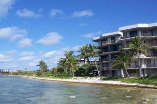 Coconut Palms - Key West - 2