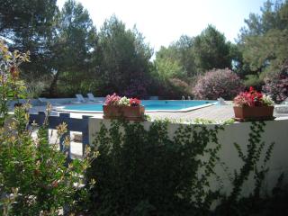 Manade Cavallini - Mas de Pioch - Saintes-Maries-de-la-Mer - 0