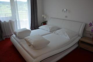 Hotel Böhmerwaldhof - Ulrichsberg - 2