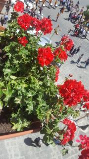 Archimede Vacanze B&B - Siracusa - 4