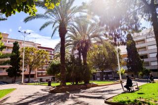 Holiday Royal Suite Concordia - Torrevieja - 4