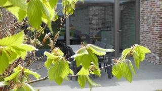 Camilles House - Wijtschate - 8