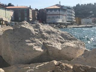 Allure Apartments - Piran - 3