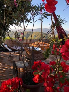 Tinyhouse in the WineValley - Casablanca - 4
