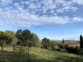 Santa Caterina - dog friendly with garden - Sobrestany - 9