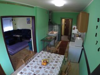 Apartment Roxana Vrdnik - Vrdnik - 2