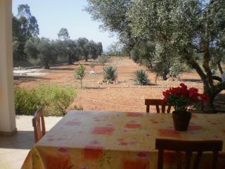 Tenuta Cazzato - Lido Marini - 4