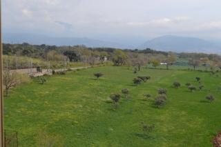 Mary&Kate's green house - Scalea - 7