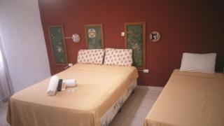 Petit Hotel Panambi - Puerto Iguazú - 2