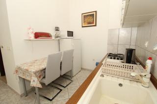 Apartments Dvorski - Mandre - 1