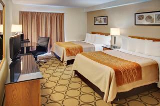 Comfort Inn Magnetic Hill - Moncton - 8