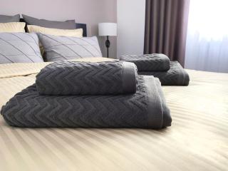 MHC Quiet Deluxe Suite near Downtown - Free Parking - Braşov - 9