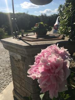Tenuta La Rosa B&B - Campi Bisenzio - 5