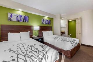 Sleep Inn near Busch Gardens - USF - Tampa - 2
