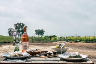 Assaf Boutique Winery & Cabins - Kidmat Tsvi - 4