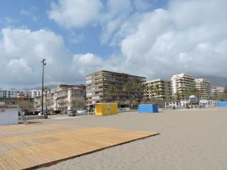 Palm Beach - 5
