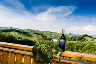 Weingut- Gästezimmer Marko - Leutschach - 5