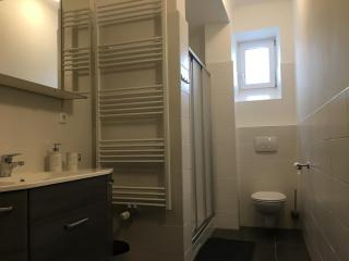 WALDSHUT SUITE IN ZENTRUM - Waldshut-Tiengen - 4
