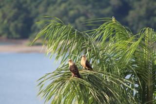 Boca Chica Bay Eco Lodge - 5