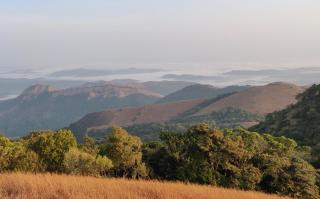 Paradise Wild Hills Kodachadri - Kollūru - 6