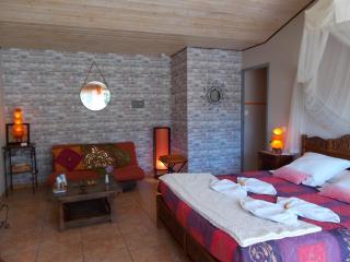Le Clos des Palmiers - 7