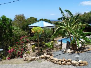 BUNGALOW La Tortue Bleue - Bouillante - 8