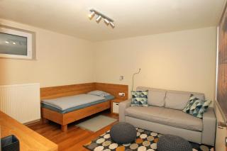 Apartma - Počitniška hiša Lodi - Bohinj - 3