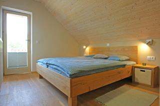 Apartma - Počitniška hiša Lodi - Bohinj - 1