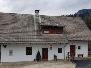 Vaznik Farm House Apartments - Bled - 9