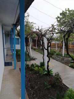 Casa Batranului Pescar - Old Fisherman's House - 3