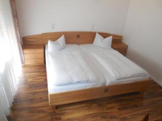 Hotel Garni am Hechenberg - Mainz - 2