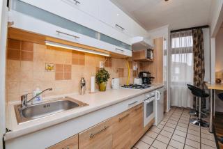 Mammut Apartment with NEW AC! - 1