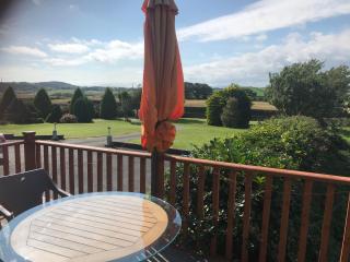 Drumlin View Cabin 21c Deerpark Road - 3