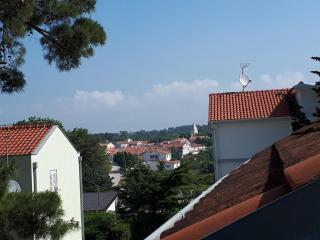 Apartments by the sea Petrcane, Zadar - 16828 - Petrcane (Peterzane) - 3
