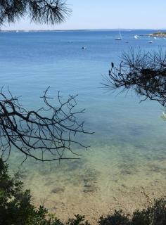 Apartments by the sea Vir - Kozjak, Vir - 16734 - Vir - 4