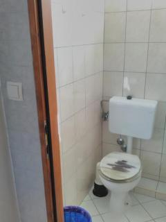 Studio Palit 3195e - 1