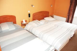 Le Cheval Noir Hôtel Paris Pantin - Pantin - 9