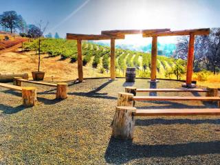 Papillon Cellars - The Loft - 7