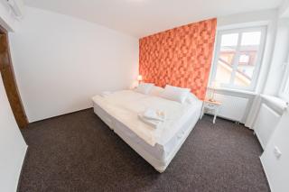 VILLA CENTRUM APARTMÁNY s RAŇAJKAMI A SAUNOU - Martin - 7