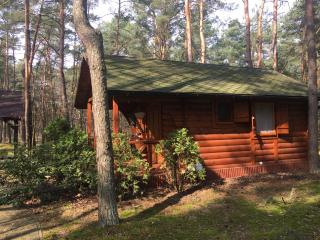 Dworek w lesie - nowy obiekt - Wilga - 6