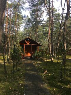 Dworek w lesie - nowy obiekt - Wilga - 5