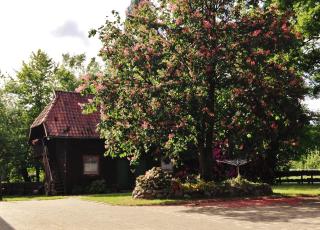 Reiterhof Winandy - Wietzendorf - 6