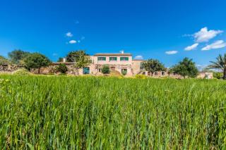 Finca Agroturismo Sa Cova den Borino - Campos - 6