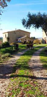 Quinta Damigo - Seia - 0