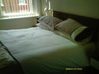 Arlingtons - Blackpool - 9