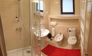 Lenz Apartment Predeal - Predeal - 3